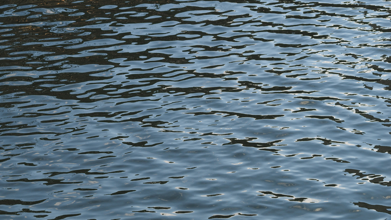 Untitled-design-1-25