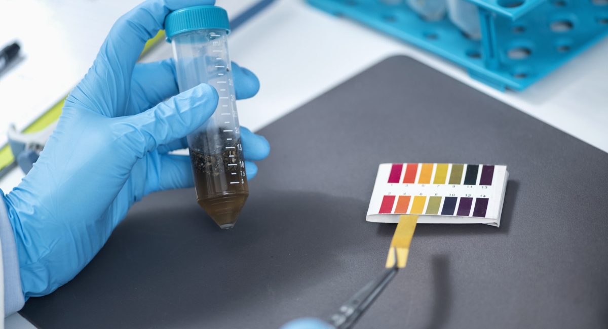 Agrochemical examination of agriculture sample in laboratory. Female scientist measuring ph of sample with litmus strips